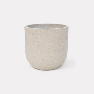 Zeno Beige D34