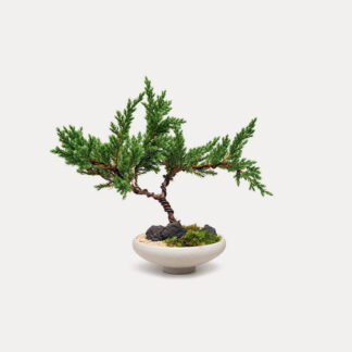 Sleeping Pine (S)